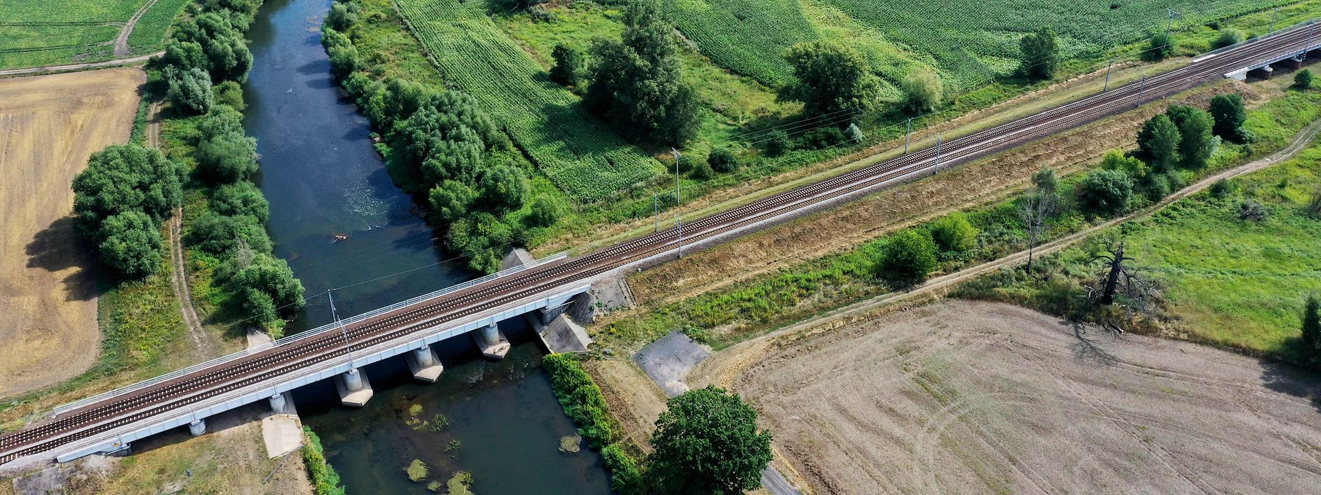 Tracks in landscape